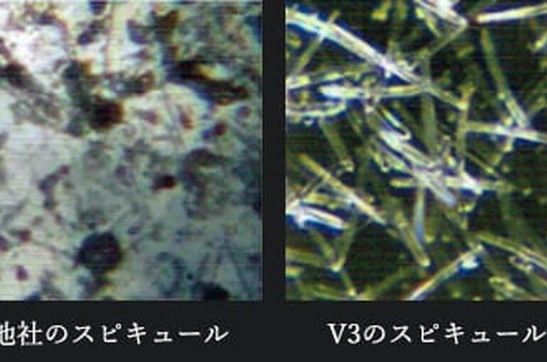 45D592A9-F2BC-494A-AB1D-EA03C9BAB58C
